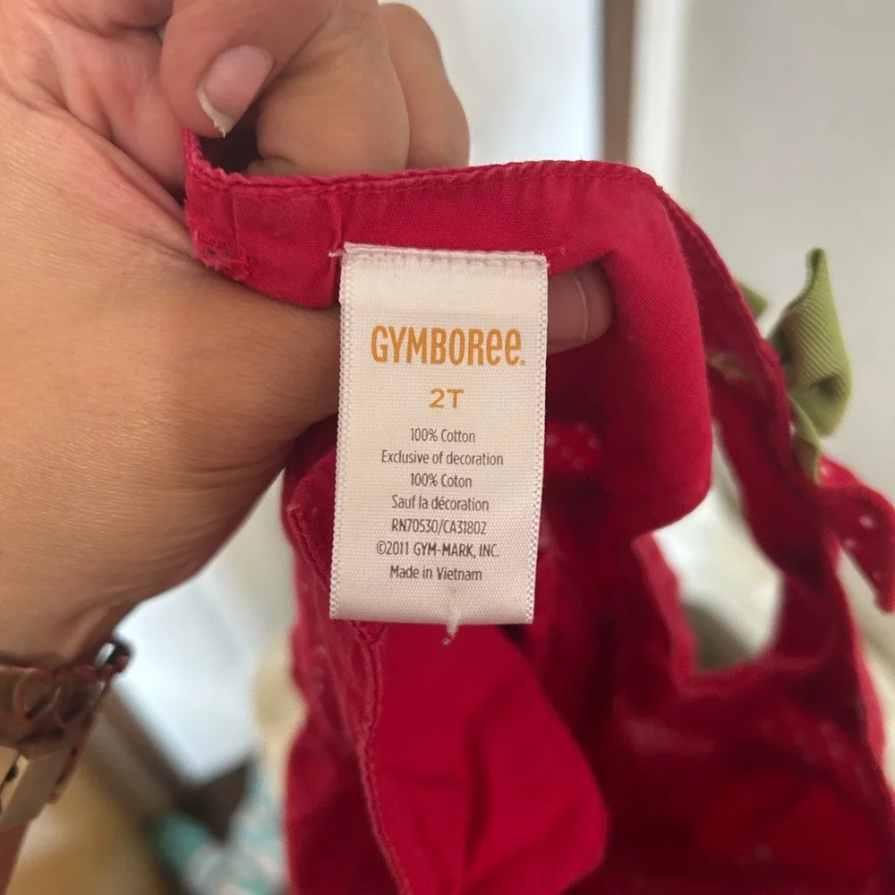 Gymboree 2t dress